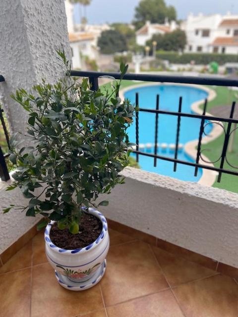 Lobo En Cabo Apartment, Cabo Roig , Orihuela Costa エクステリア 写真