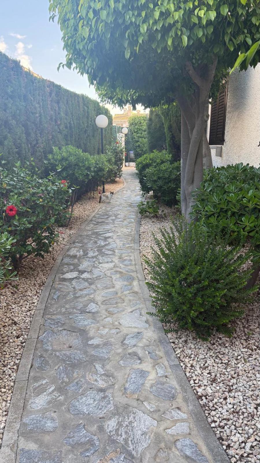Lobo En Cabo Apartment, Cabo Roig , Orihuela Costa エクステリア 写真